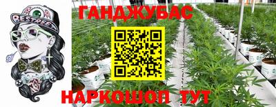 мдпв Гусев