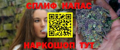 мдпв Гусев