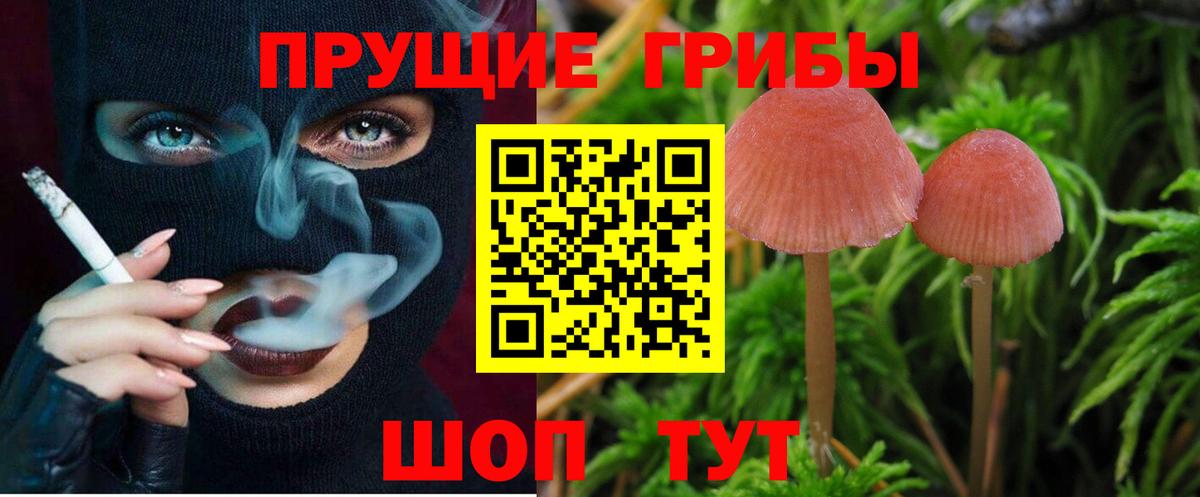 Псилоцибиновые грибы мухоморы  Галлюциногенные грибы мухоморы  Химки  Вход с VPN 